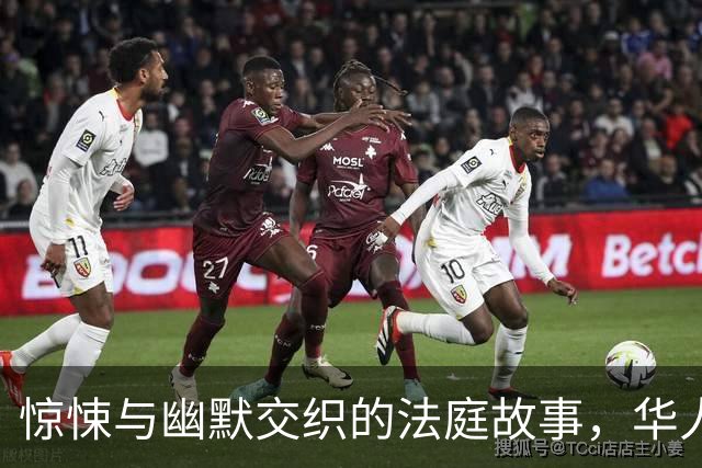 惊悚与幽默交织的法庭故事，华人博士生的意外命运