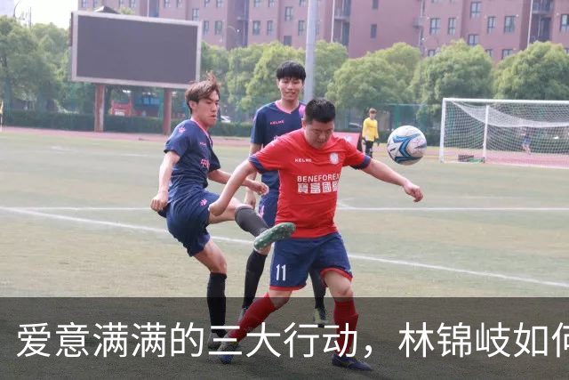 爱意满满的三大行动，林锦岐如何俘获兰香的心