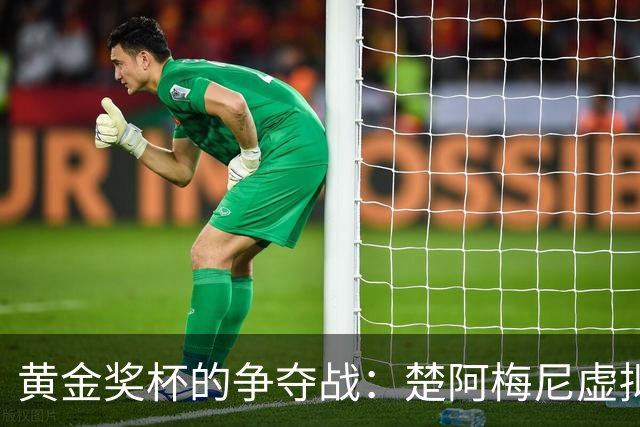 黄金奖杯的争夺战：楚阿梅尼虚拟人生中的梦与现实